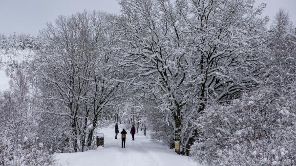 Edition numérique des abonnés