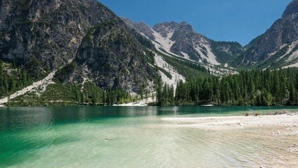 Edition numérique des abonnés