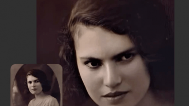 Edition numérique des abonnés