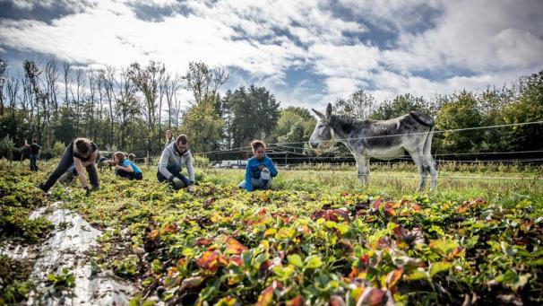 Edition numérique des abonnés