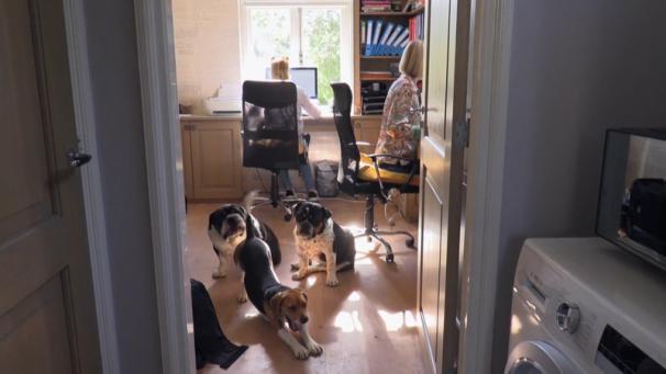 Edition numérique des abonnés