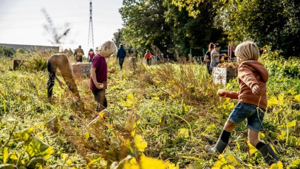Edition numérique des abonnés