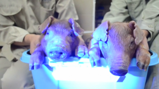 Edition numérique des abonnés