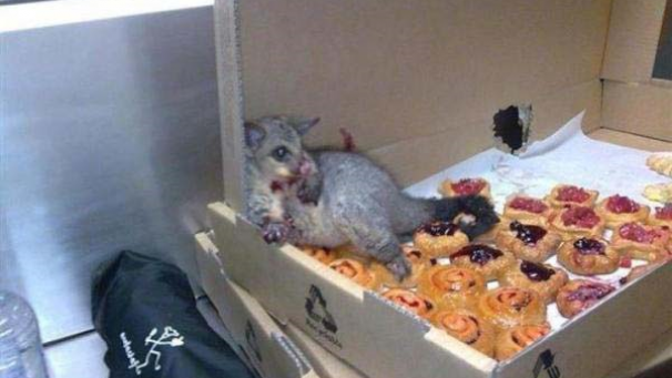 Edition numérique des abonnés