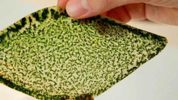 Edition numérique des abonnés