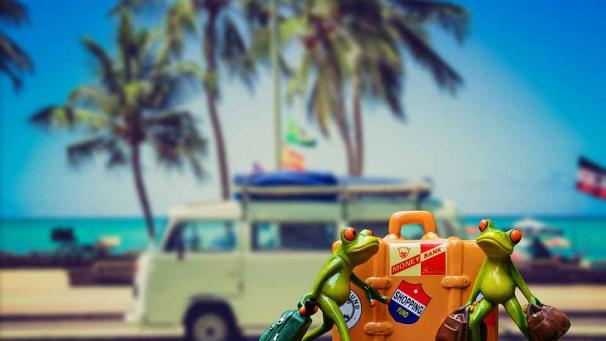 Edition numérique des abonnés