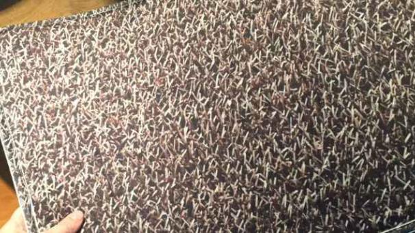 Edition numérique des abonnés