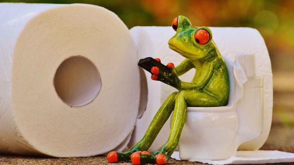 Edition numérique des abonnés