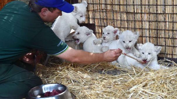 Edition numérique des abonnés