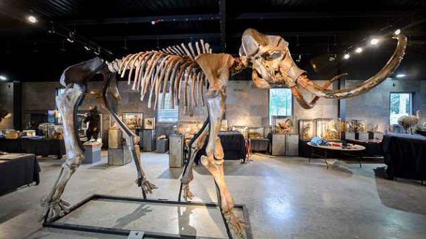 Edition numérique des abonnés