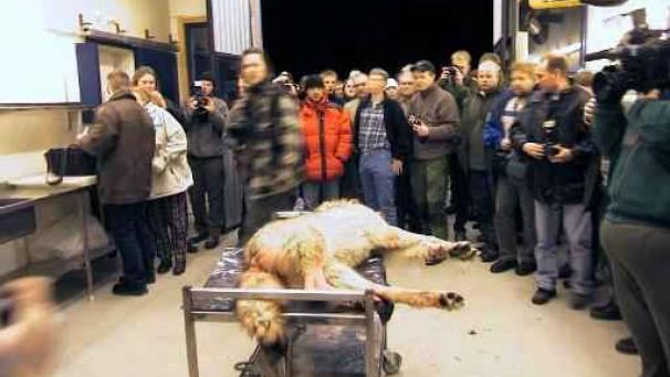 Edition numérique des abonnés