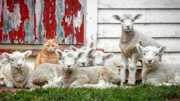 Edition numérique des abonnés