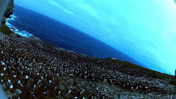 Edition numérique des abonnés