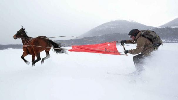 Edition numérique des abonnés