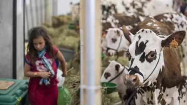 Edition numérique des abonnés