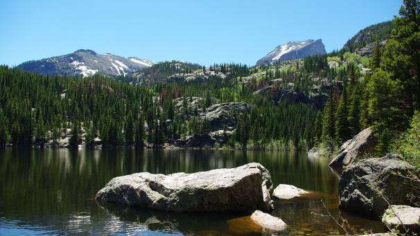 Edition numérique des abonnés