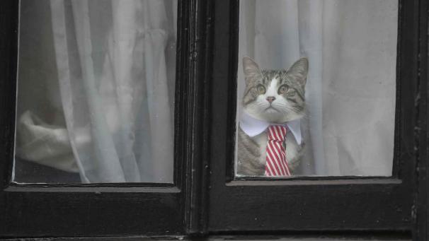 Edition numérique des abonnés