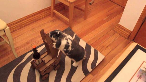 Edition numérique des abonnés