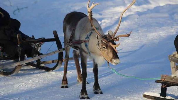 Edition numérique des abonnés
