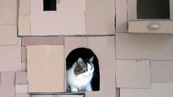 Edition numérique des abonnés