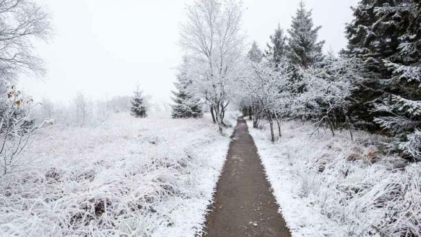 Edition numérique des abonnés
