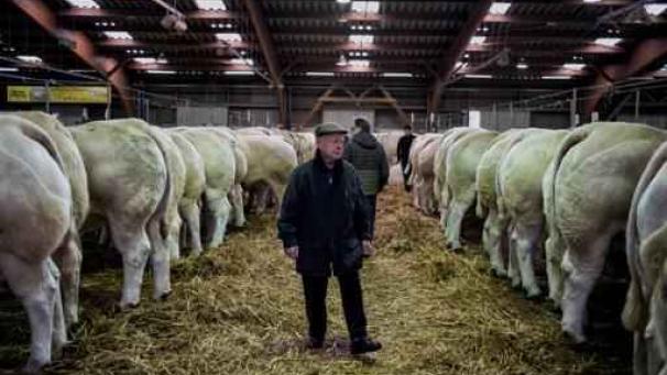 Edition numérique des abonnés