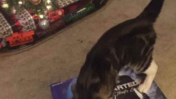 Edition numérique des abonnés