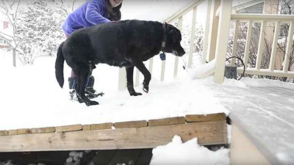 Edition numérique des abonnés