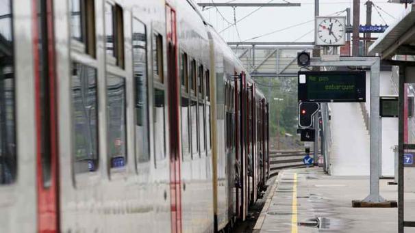 Edition numérique des abonnés