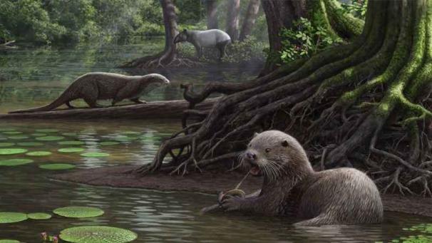 Edition numérique des abonnés