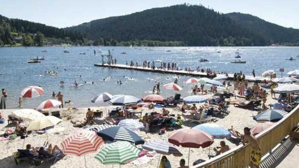 Edition numérique des abonnés