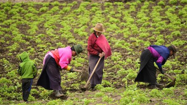 Edition numérique des abonnés