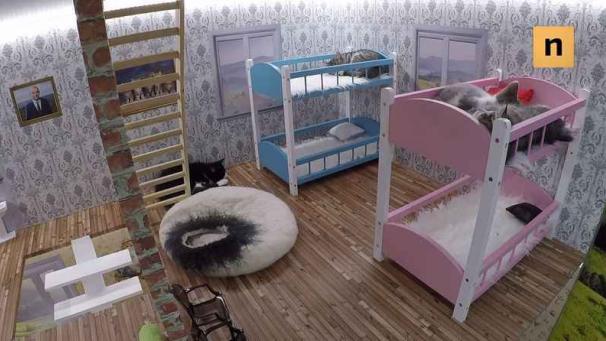 Edition numérique des abonnés