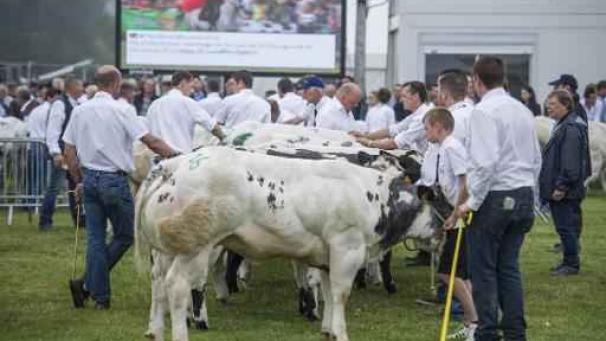 Edition numérique des abonnés