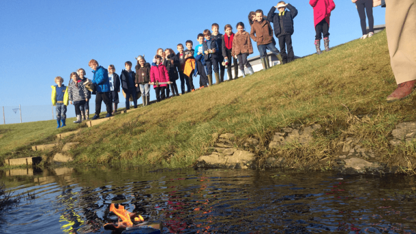 Edition numérique des abonnés