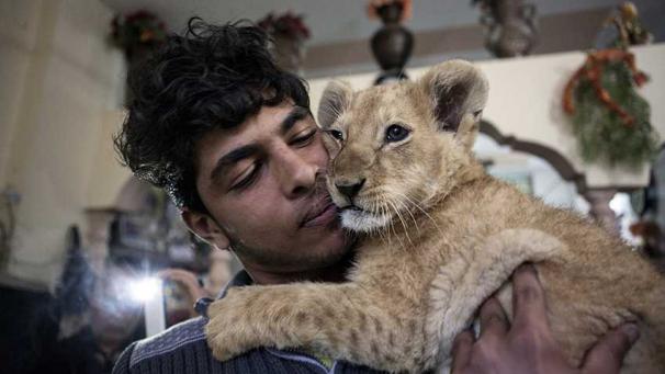 Edition numérique des abonnés