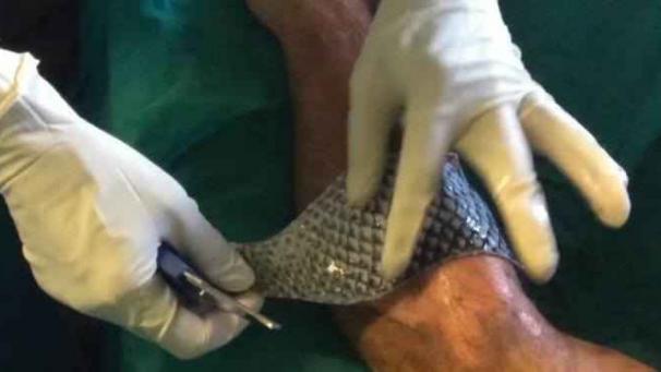 Edition numérique des abonnés