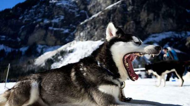 Edition numérique des abonnés