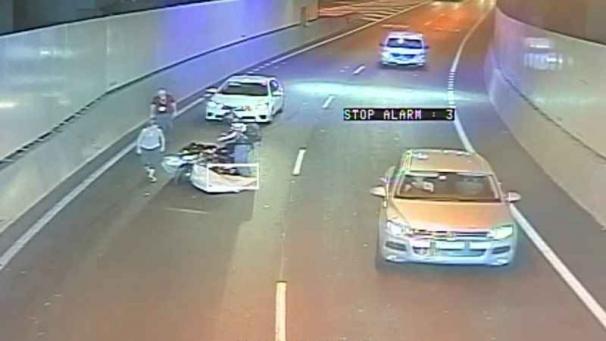 Edition numérique des abonnés