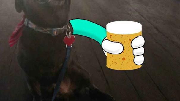 Edition numérique des abonnés