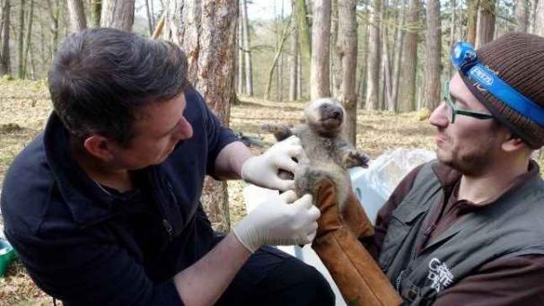 Edition numérique des abonnés