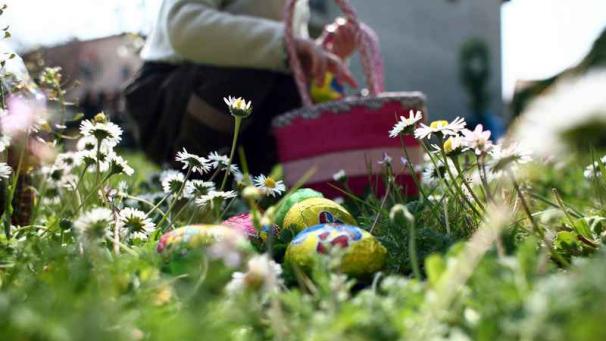 Edition numérique des abonnés