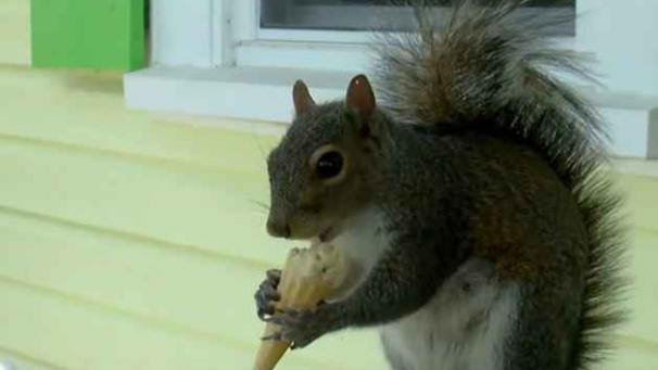 Edition numérique des abonnés