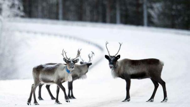 Edition numérique des abonnés
