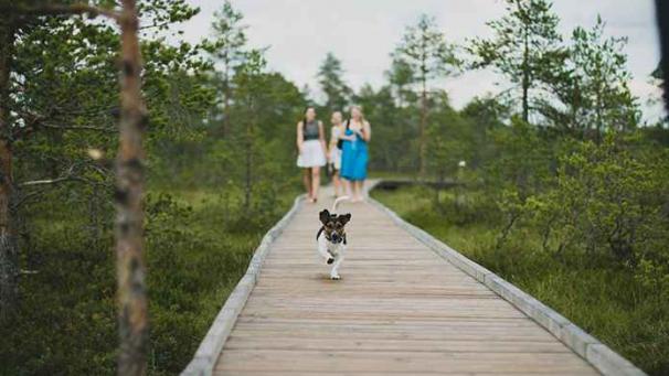 Edition numérique des abonnés