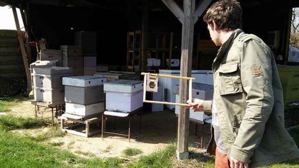 Edition numérique des abonnés