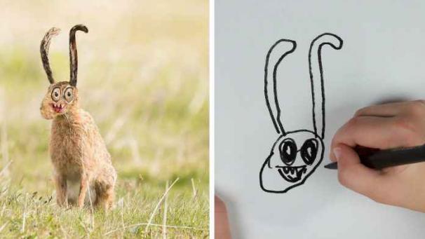 Edition numérique des abonnés