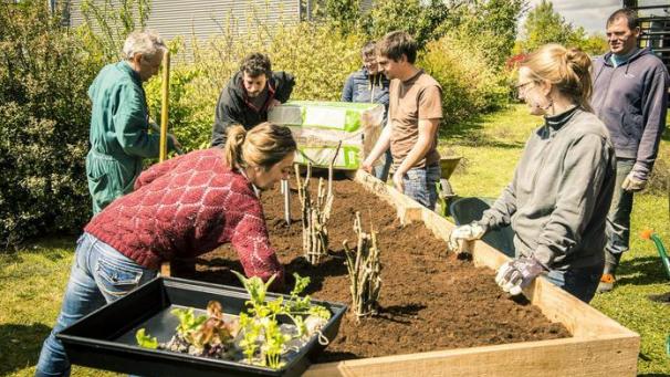 Edition numérique des abonnés