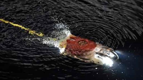 Edition numérique des abonnés