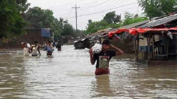 Edition numérique des abonnés